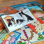 Appartement Vinska Trta