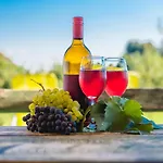 Appartement Vinska Trta