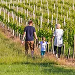 Vinska Trta Appartement