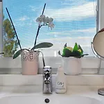 Vinska Trta Appartement Catez ob Savi