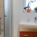 Vinska Trta Catez ob Savi