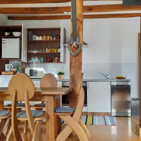 Appartamento Vinska Trta *