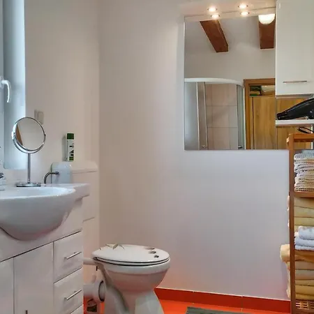Vinska Trta Apartment *