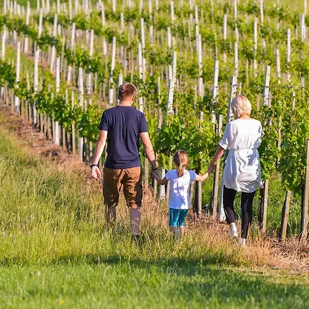 Vinska Trta Appartamento