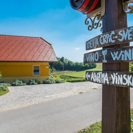 Vinska Trta *
