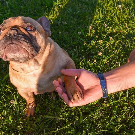 Appartement Vinska Trta Catez ob Savi