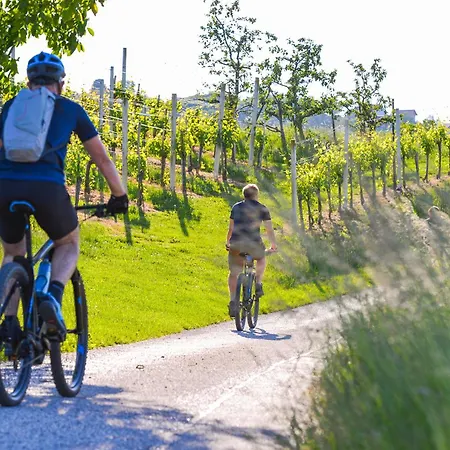 Appartement Vinska Trta *