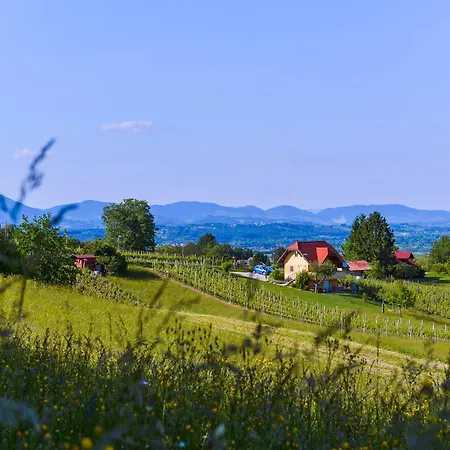 Vinska Trta Appartement Catez ob Savi