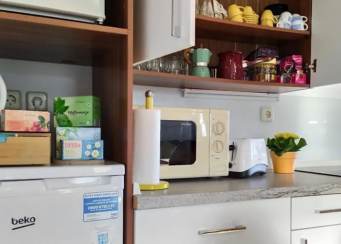 Vinska Trta Apartman Catez ob Savi