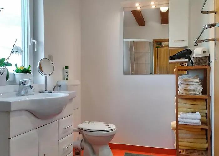 Vinska Trta Apartman *