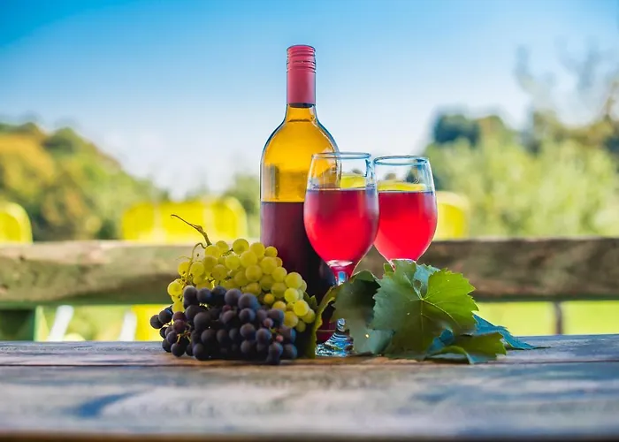 Apartmán Vinska Trta