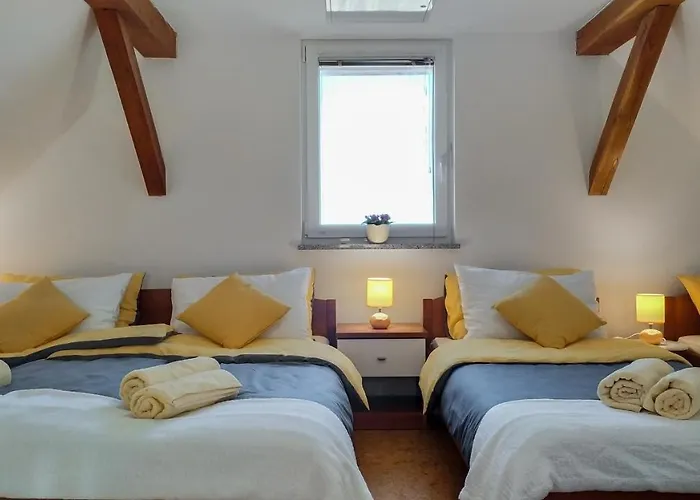 Vinska Trta Apartman *