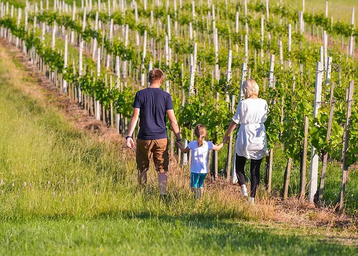 Vinska Trta Apartman