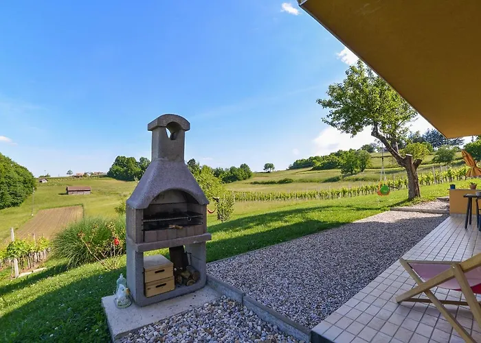 Vinska Trta Apartman