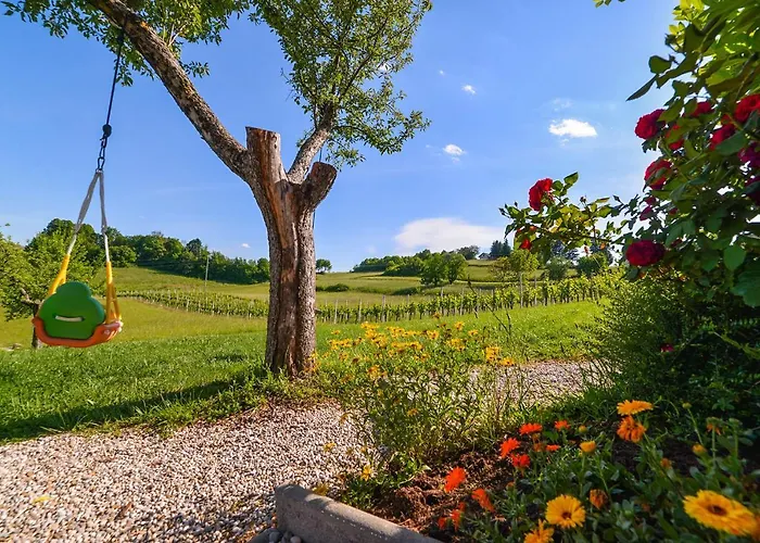 Vinska Trta Apartmán